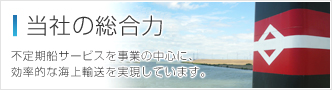 当社の総合力 不定期船サービスを事業の中心に、効率的な海上輸送を実現しています。