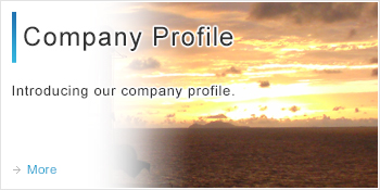 Company Profile Introducing our company profile.