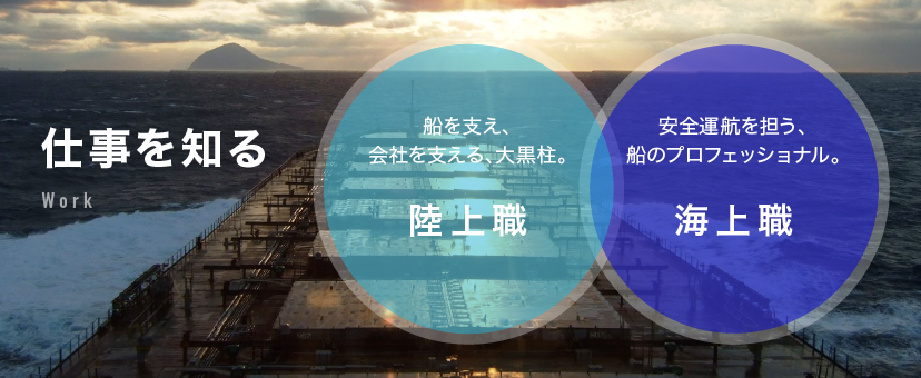 採用情報