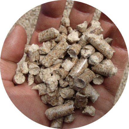 Wood Pellet