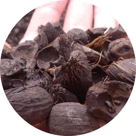 PKS<br><span class="small">（Palm Kernel Shell）</span>
