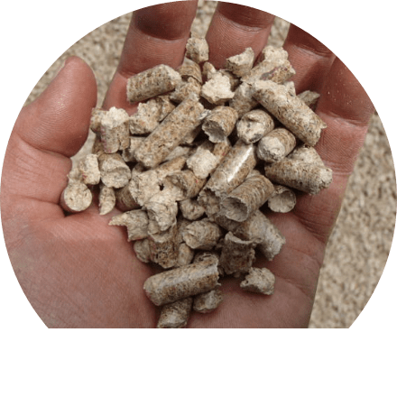 Wood Pellet